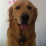 Profile Photo of Benito Mata Zavala (@benito_thegolden) on Instagram