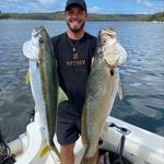 Profile Picture of Steven Lazos (@stevenlazos) on Instagram