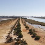 Profile Picture of Fiorella Longo (@Fiorella-Longo) on Facebook