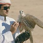 Profile Picture of Hamad ALmansoori (@hamad.almansoori.1671) on Facebook