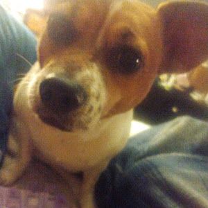 Profile Picture of patrick roark (@@patrickroark0) on Tiktok