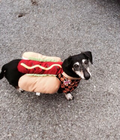 Profile Picture of Debra Moyer (@debramoyer294) on Poshmark