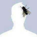 Profile Picture of Paul Darragh (@darraghpaul) on Instagram