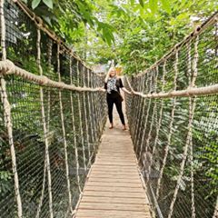 Profile Picture of Shireen Darwood (@shireenbean) on Tiktok