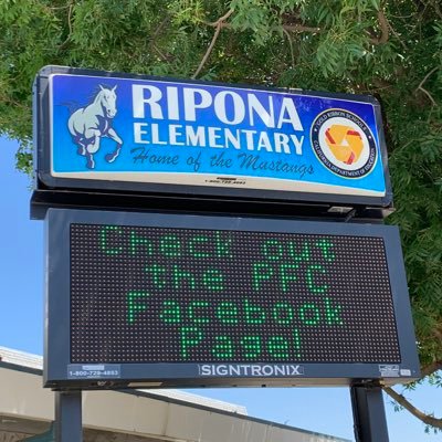 Profile Picture of Pam Mcclure (@MsMcclure3G) on Twitter