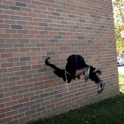 Profile Picture of Charles Hsu (@youngerprodigy) on Youtube