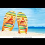 Profile Picture of Paul Sandals (@paulsandals) on Instagram