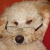 Profile Picture of Rebecca Page (@rebapage) on Youtube