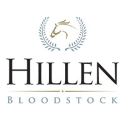 Profile Picture of Hillen Bloodstock (@StephenHillenBS) on Twitter