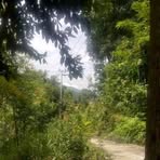 Profile Picture of Anton Alex (@anton.alex.61221) on Facebook