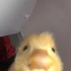Profile Picture of user8568334535985 (@@davidmichalik2) on Tiktok