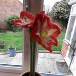 Julia Sansom - Instagram Profile Picture of Julia Sansom (@sansomjulia) on Instagram