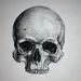 Profile Picture of Alice Soares (@allsorsrch) on Pinterest