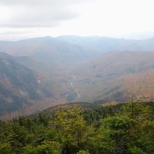 Profile Picture of Brendan Kaler (@BrendanKaler) on Twitter