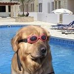 Derick Tran - Instagram Profile Picture of Derick Tran (@d.ericktran) on Instagram