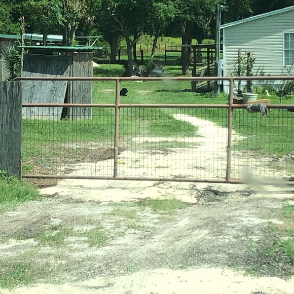 Profile Picture of Paul Hall (@paulhallm) on Poshmark