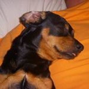 Savannah Maxwell - Myspace Profile Picture of Savannah Maxwell (@savannah.maxwell.75) on Myspace