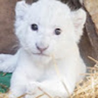 Profile Picture of Leonard Winkler (@leonard-winkler-4) on Quora