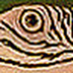 Profile Picture of Bipin Shah (@bipinviewer) on Flickr