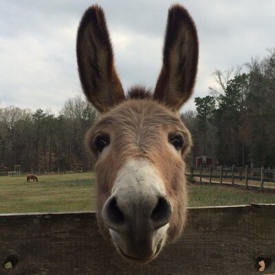 Profile Picture of Frederick Cook (@curvagrande) on Twitter
