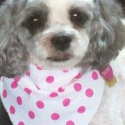 Profile Picture of Christine Griebel Baker (@bake2love) on Pinterest