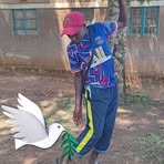 Profile Picture of Rober Robert (@Rober-Robert) on Facebook