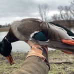 Profile Picture of James Lortie (@James-Lortie) on Facebook