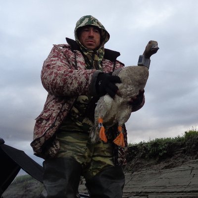 Profile Picture of Aleksey Antonov (@ivan_luna84) on Twitter