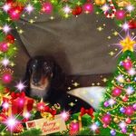 Profile Picture of Debbie Elswick (@elswickdebbie) on Instagram