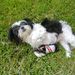 Profile Picture of Bertha DeJong (@bertha1383) on Pinterest