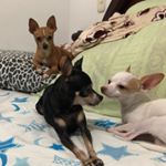 Profile Picture of Gᥙᥲdᥲᥣᥙρᥱ, 𝐸𝑚𝑖𝑙𝑖𝑜 y 𝙹𝚊𝚌𝚘𝚋𝚘 ♡ (@lupejacoboemi) on Instagram