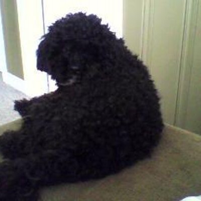 Profile Picture of Roxy Wilson (@dawnroxyme) on Twitter
