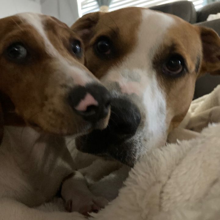 Profile Picture of Jennifer Benson (@@jenniferbenson42) on Tiktok