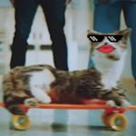 Profile Picture of Marshall Tompkins (@marshall_tompkins) on Instagram