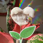 Profile Picture of David Braff (@david.braff.5) on Facebook