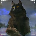 Profile Picture of Yule caton Wikipedia