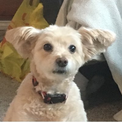 Jcromie - Twitter Profile Picture of Jcromie (@CromieJeff) on Twitter