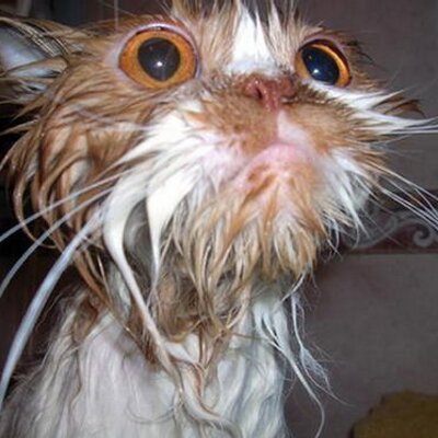 Profile Picture of Andre Kiefer (@Andrekiefer) on Twitter