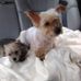 Profile Picture of Doris Riggleman (@Doris-Riggleman) on Facebook
