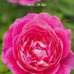 Profile Picture of Rita Mar (@Rita-Mar) on Facebook