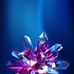 Profile Picture of Thomas Hohl (@thomas.hohl.311) on Facebook