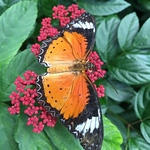 Profile Picture of Andy Michael (@andy michael longhorn) on Flickr