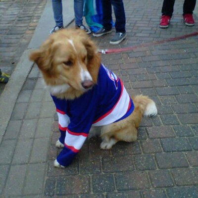 Profile Picture of Justin Wiens (@justinwiens) on Twitter