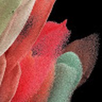 Profile Picture of Funky Dunkey Bunkey Dunkey Bunkey (@funky-dunkey-bunkey-dunkey-bunkey) on Quora