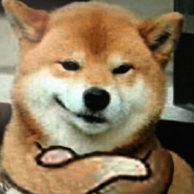 Benjamin Xu - Twitter Profile Picture of Benjamin Xu (@LongVampNinja) on Twitter