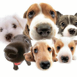 Profile Picture of Leonardo Rendon (@LeoRendonB) on Twitter