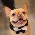 alexis (kuhlmann) sofyanos - Instagram Profile Picture of alexis (kuhlmann) sofyanos (@alexis_sofyanos) on Instagram