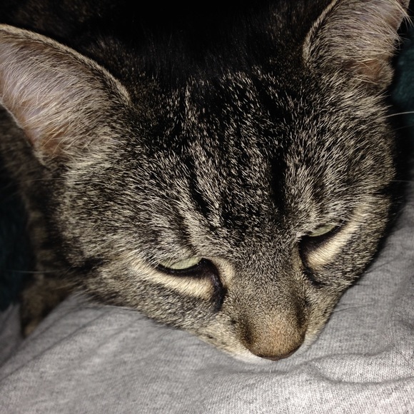 Profile Picture of Ashlyn Adams (@ashlynbadams) on Poshmark