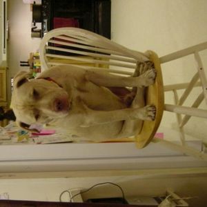 Profile Picture of Daniel Langdale (@197515063) on Myspace