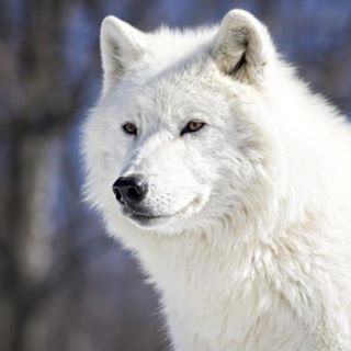 Profile Picture of Adrian Lucas (@adrian.lucas.104855) on Facebook